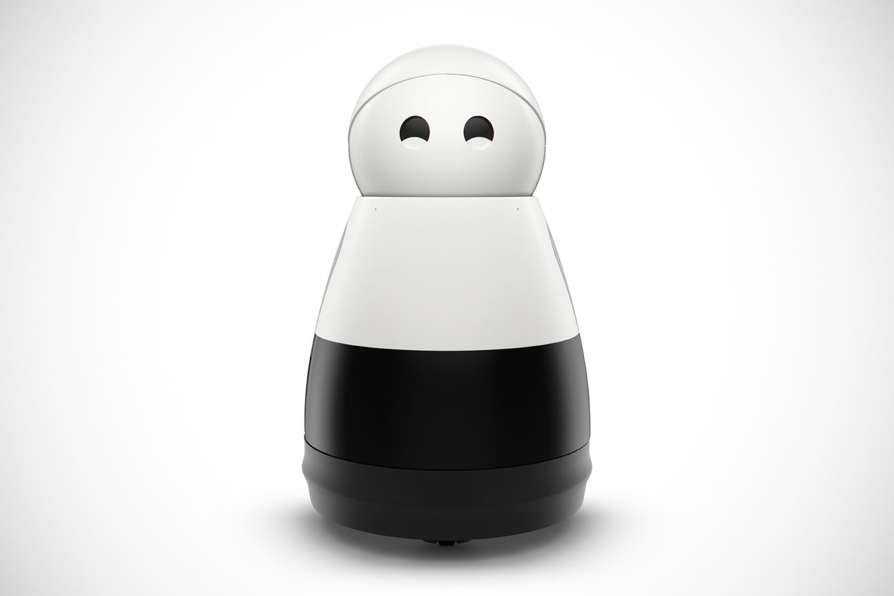 Kuri, Roboter Kuri, Roboter