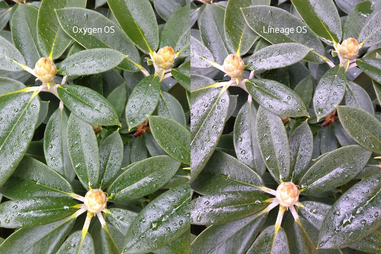 Oxygen OS vs Lineage OS Kameravergleich Oxygen OS vs Lineage OS Kameravergleich