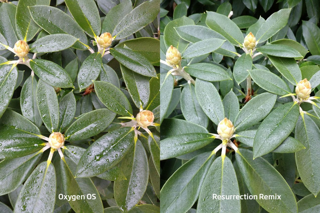 Oxygen OS vs Resurrection Remix Kameravergleich Oxygen OS vs Resurrection Remix Kameravergleich
