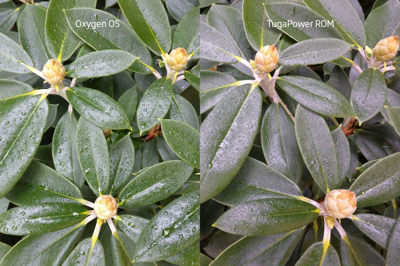 Oxygen OS vs TugaPower ROM Kameravergleich Oxygen OS vs TugaPower ROM Kameravergleich