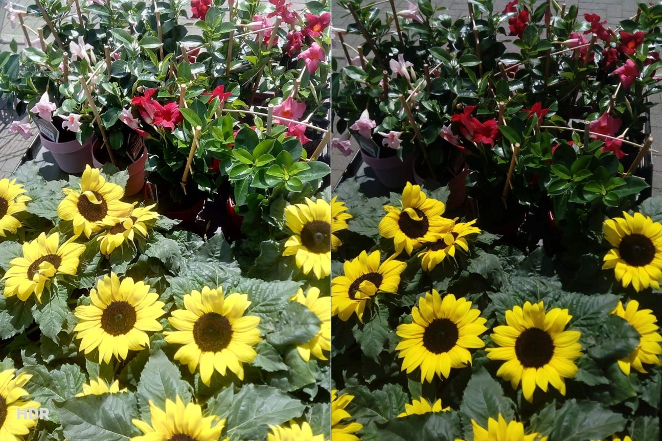 Huawei Y6 Testfoto Huawei Y6 Testfoto