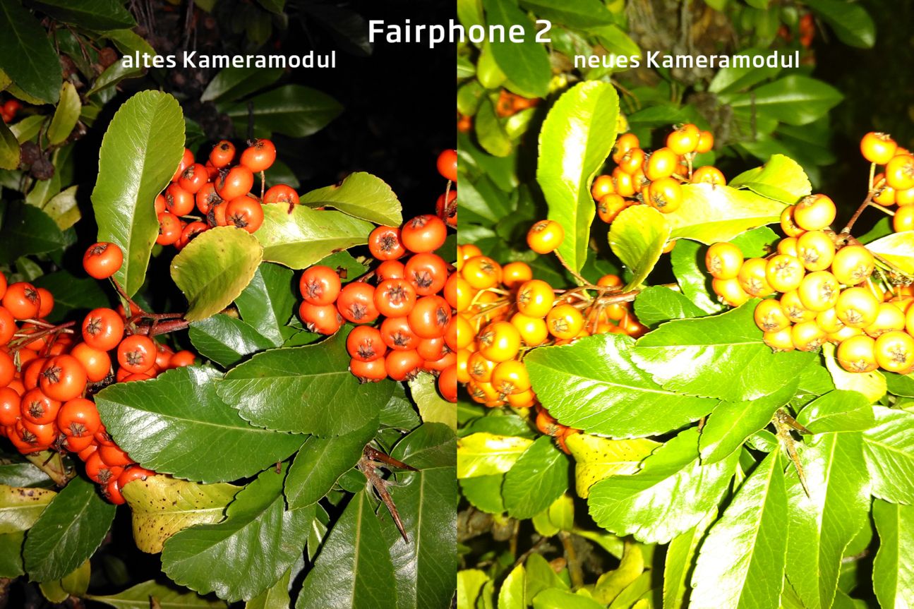 Fairphone 2 Kameramodul-Vergleich Fairphone 2 Kameramodul-Vergleich
