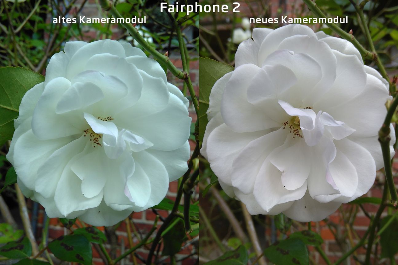 Fairphone 2 Kameramodul-Vergleich Fairphone 2 Kameramodul-Vergleich