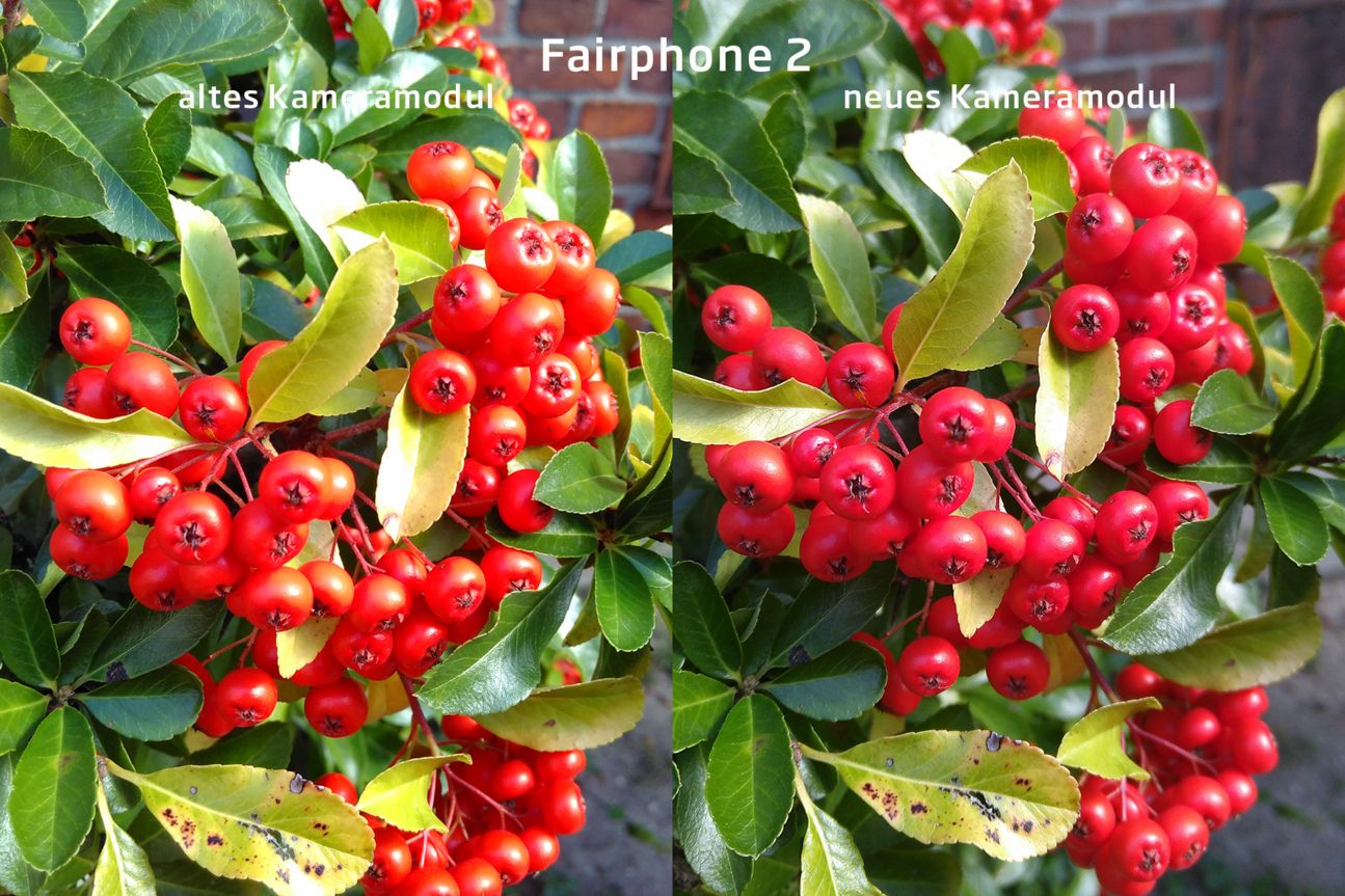 Fairphone 2 Kameramodul-Vergleich Fairphone 2 Kameramodul-Vergleich