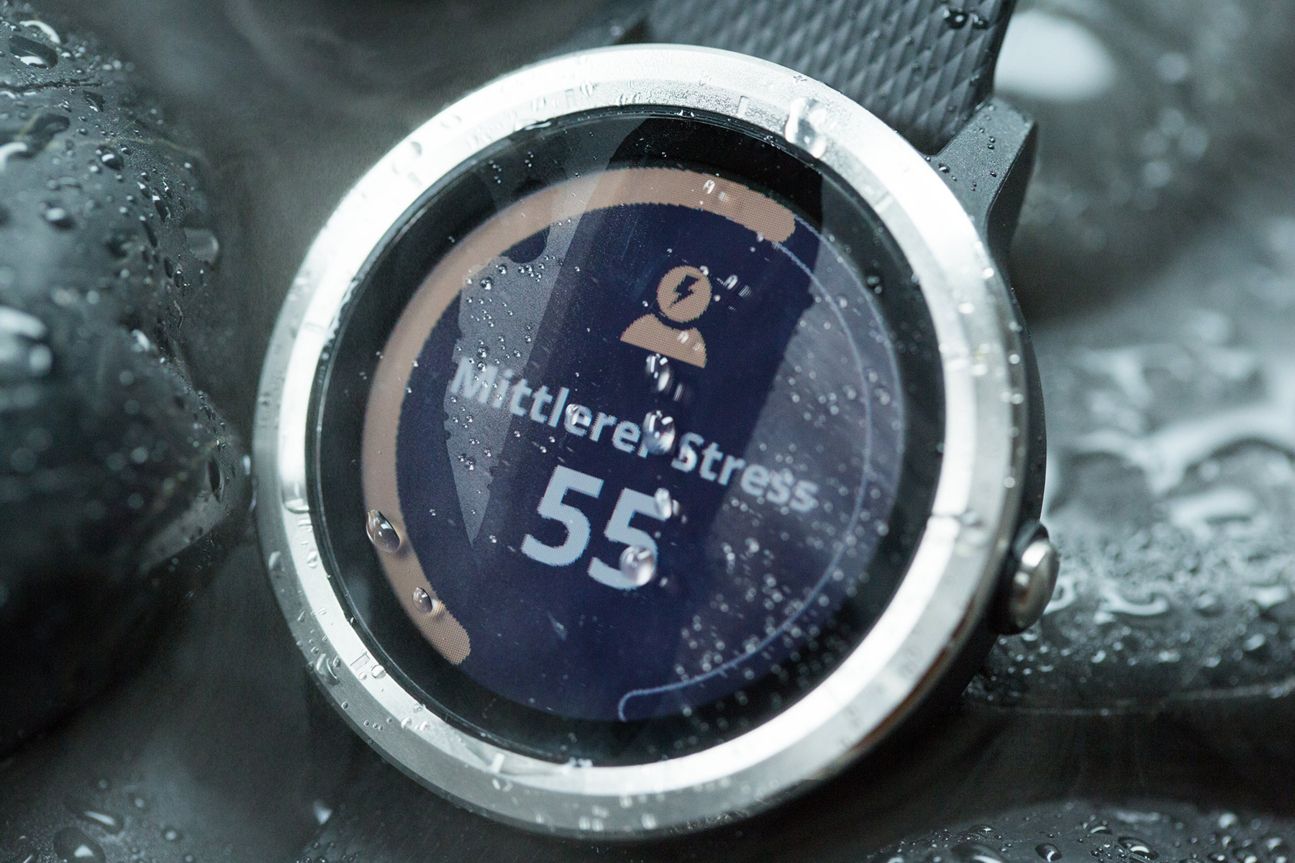 Garmin Vivoactive 3 Garmin Vivoactive 3