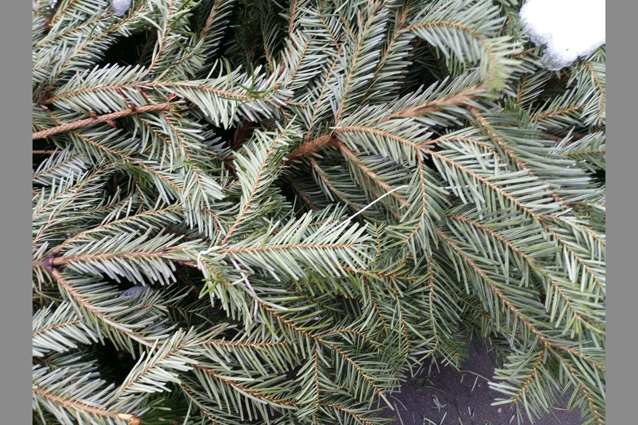 Kameratest Sony Xperia L2 Kameratest Sony Xperia L2