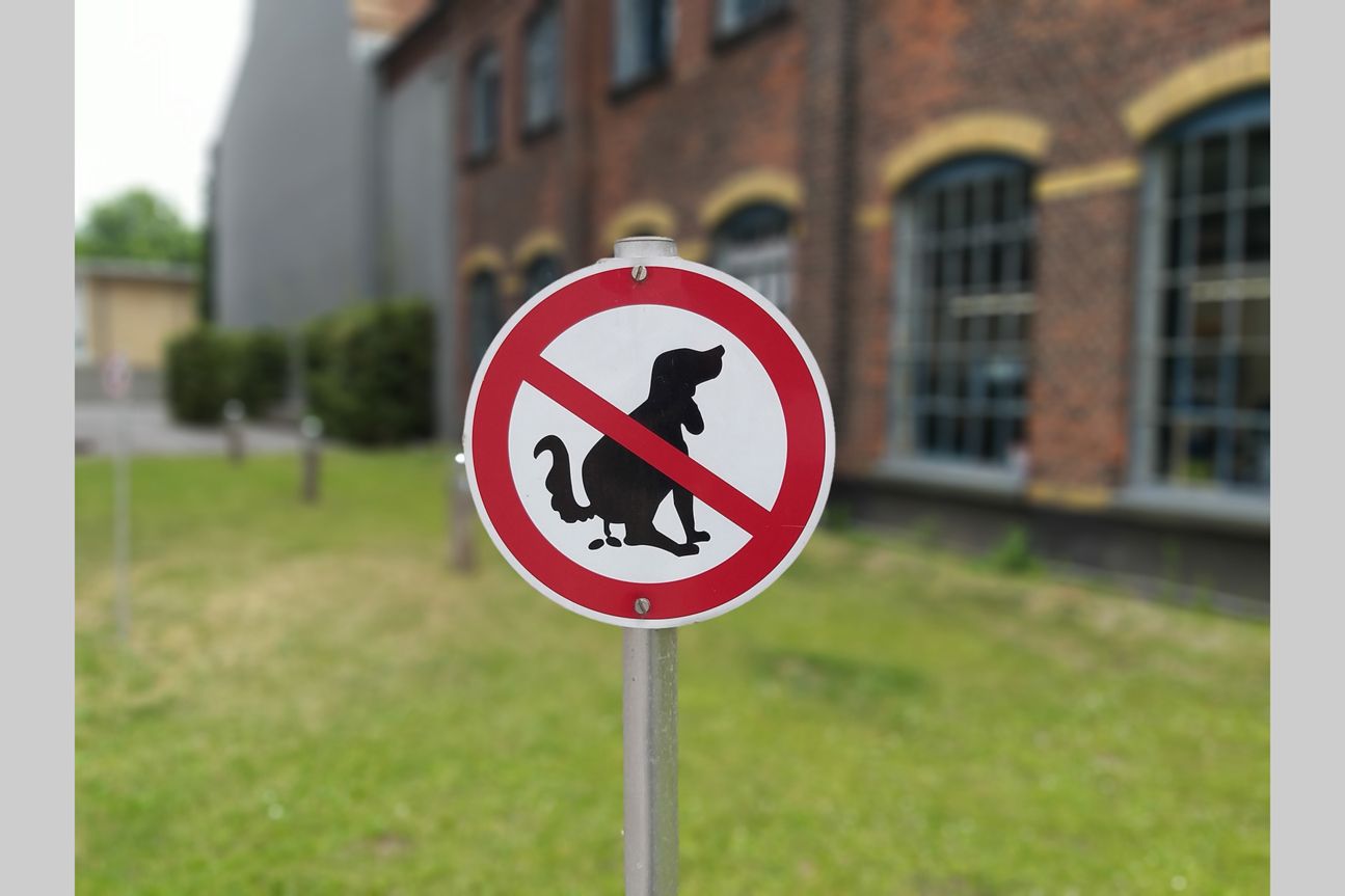 Fotos Samsung Galaxy A6 Plus Fotos Samsung Galaxy A6 Plus