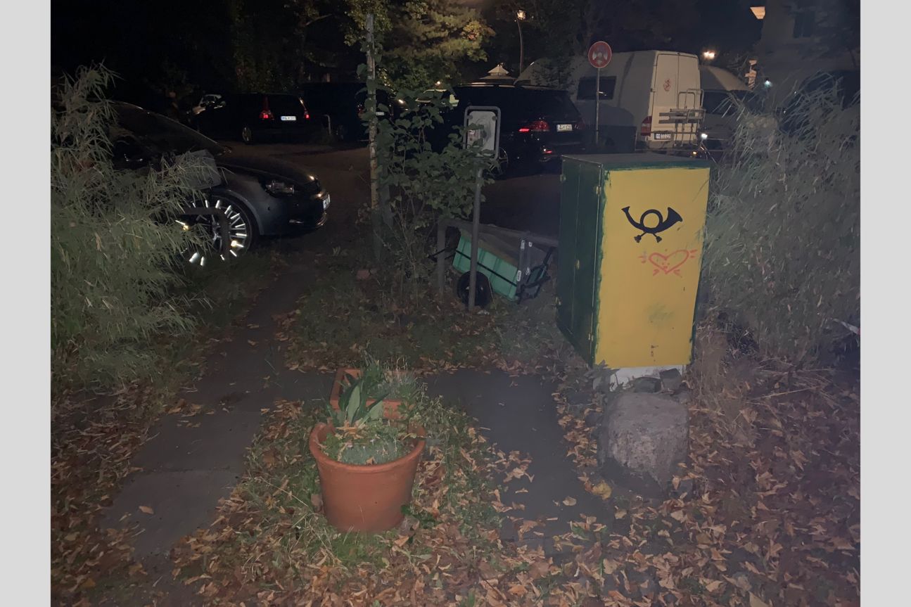 Gebüsch, parkende Autos und bei Postkasten bei Nacht mit Blitzlicht fotografiert