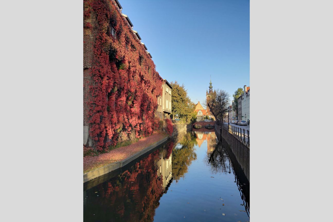 Testfoto Razer Phone 2 Testfoto Razer Phone 2