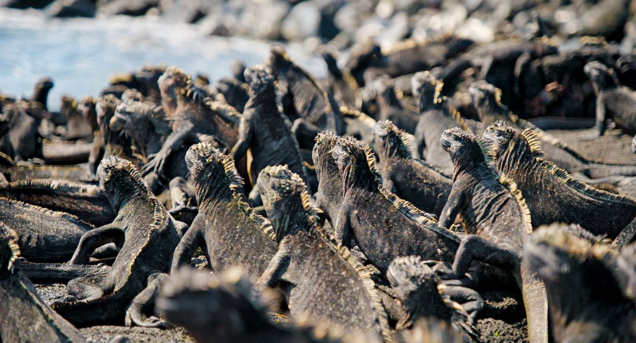 Unsere Erde 2 (2018) Unsere Erde 2 (2018)