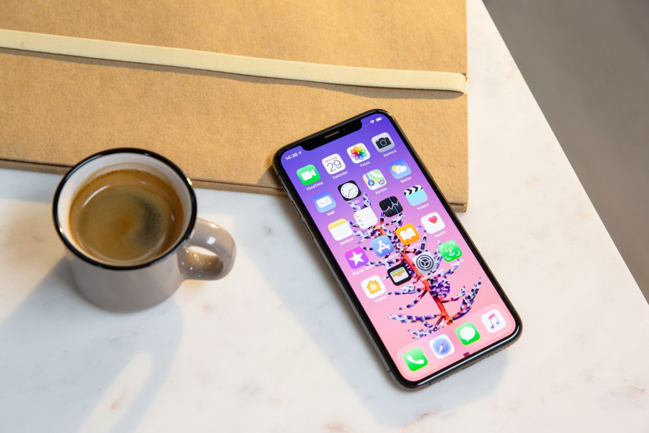Apple iPhone Xs iPhone Xs Display