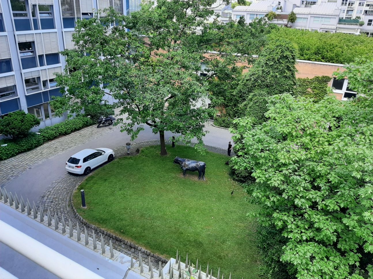 20190613_140954 Samsung_Galaxy_A50_Kamera_Test_5