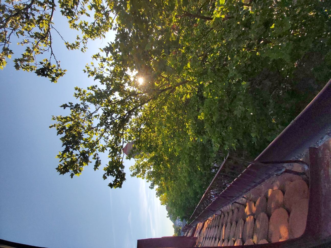 20190724_065556 20190724_065556