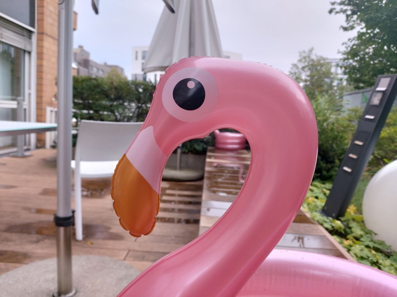 20190902 180611 20190902 180611