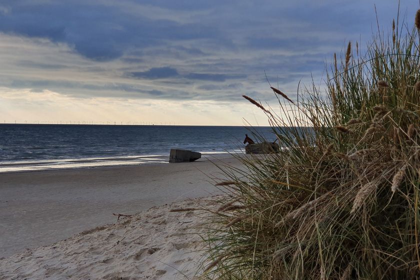Galaxy S10 Szenenerkennung Galaxy S10 Foto Strand Düne
