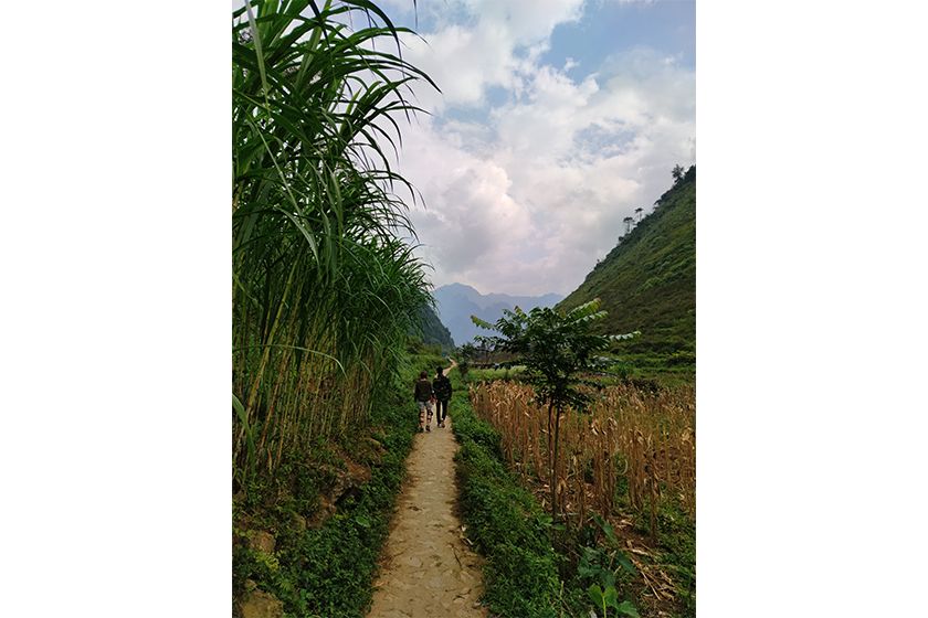 Vietnam1 Vietnam1