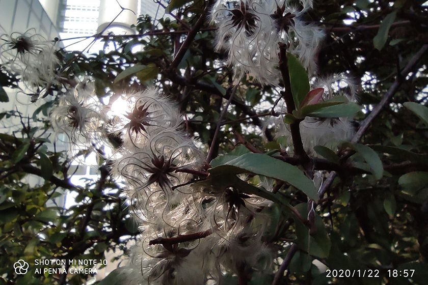 Minote10 Andy Minote10 Andy