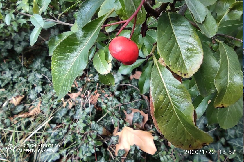 Minote10makro Andy Minote10makro Andy