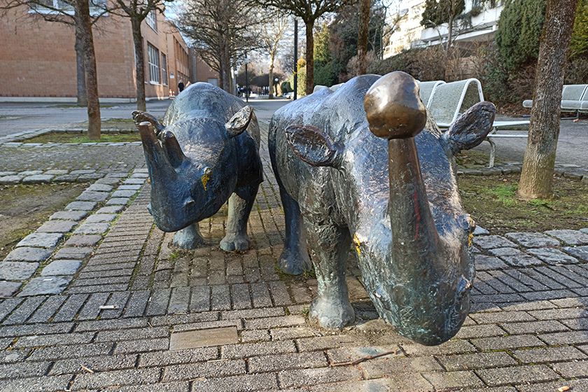 RedmiNote8Pro64 RedmiNote8Pro64