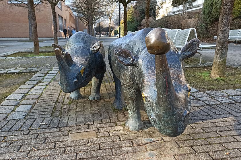 RedmiNote8Proquer RedmiNote8Proquer