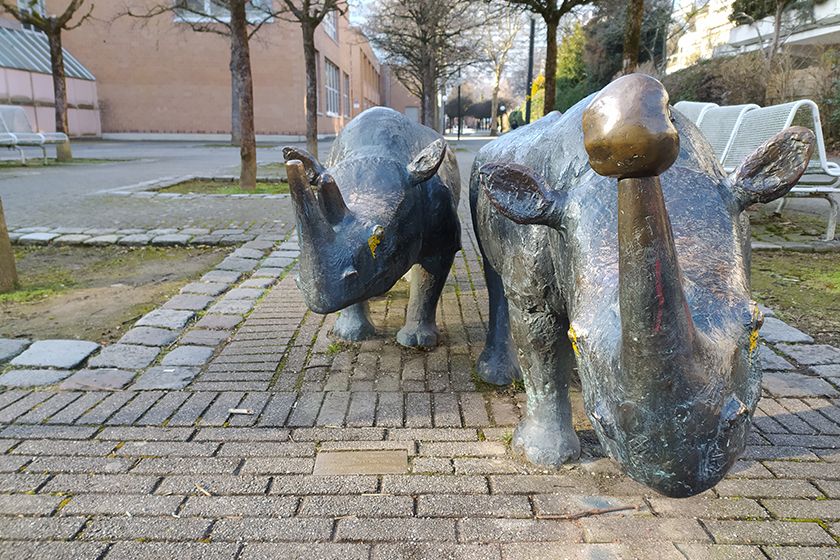 RedmiNote8T48mp RedmiNote8T48mp