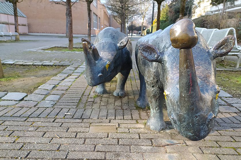 RedmiNote8Tnormal2 RedmiNote8Tnormal2