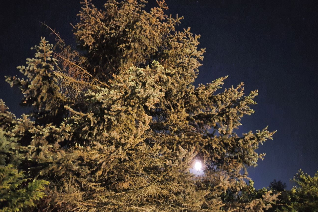 Galaxy S10 Nachtmodus Ref Galaxy S10 Nachtmodus