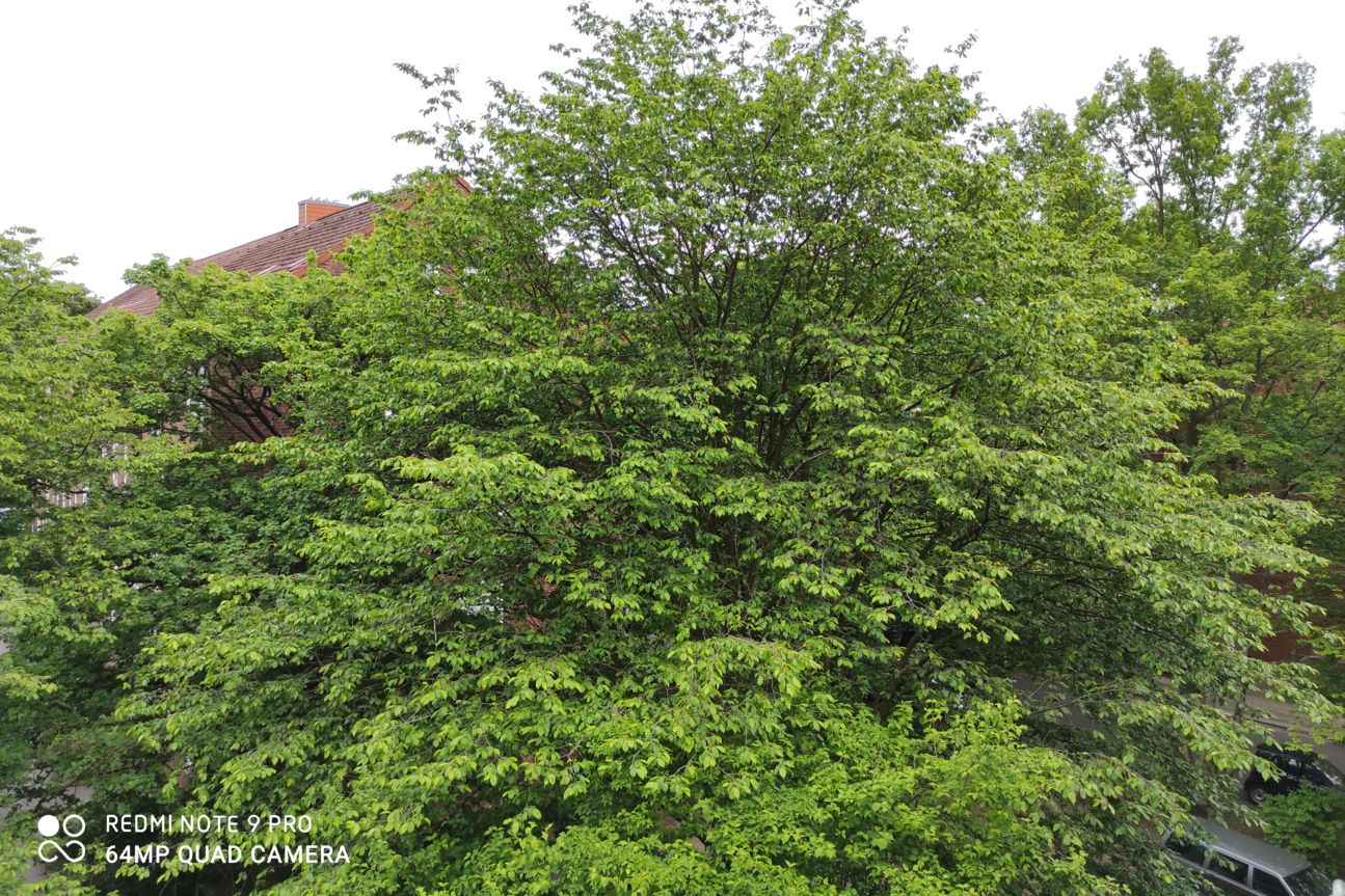 Redmi Note 9 Pro HDR Fail Redmi Note 9 Pro HDR