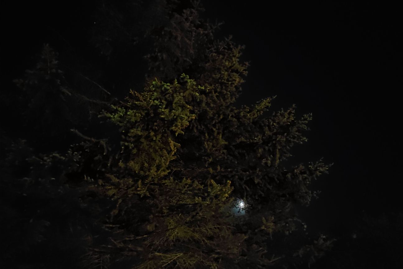 Redmi Note 9 Pro Nacht Xiaomi Redmi Note 9 Pro