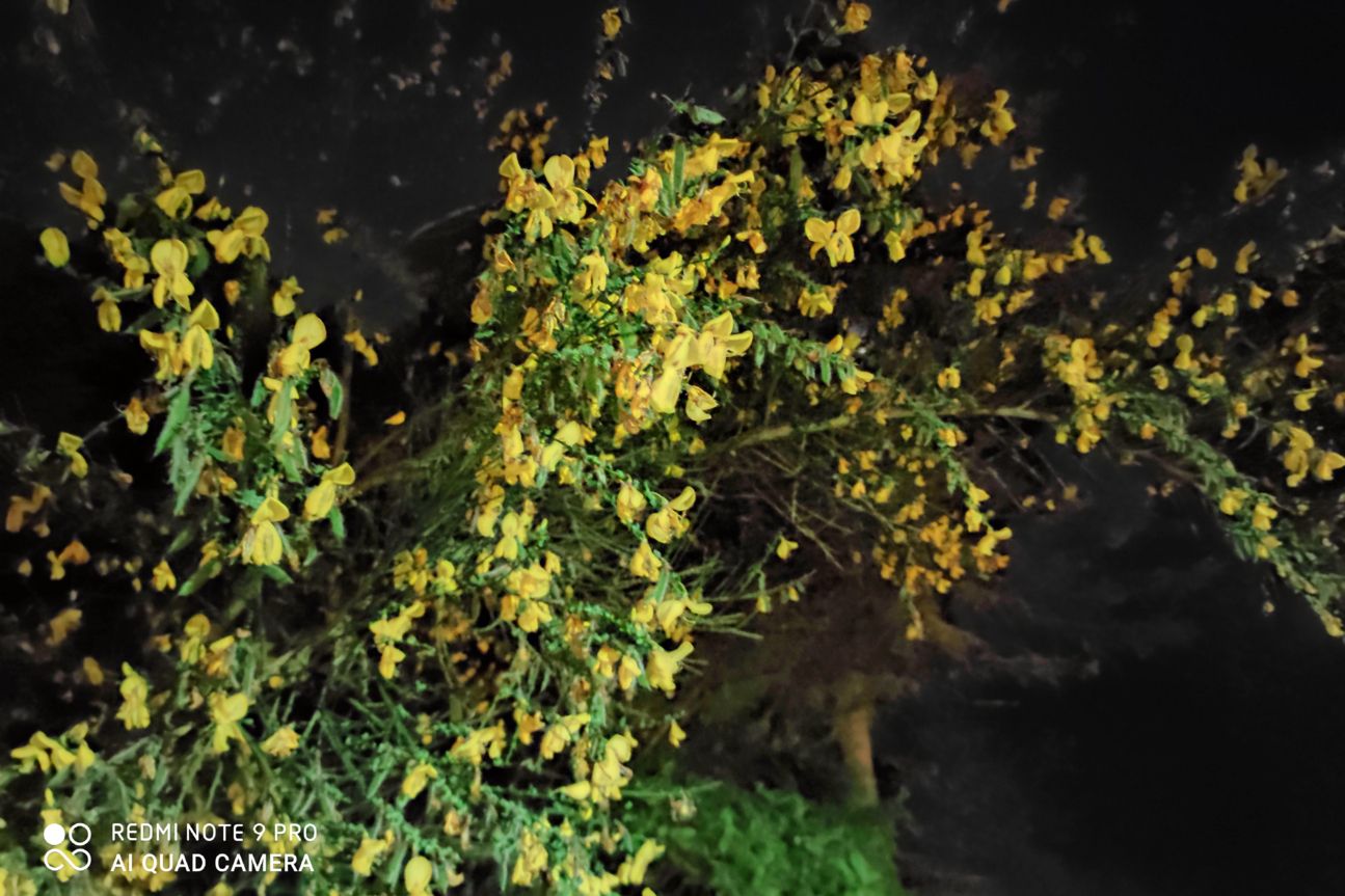 Redmi Note 9 Pro Nacht2 Redmi Note 9 Pro Nacht2