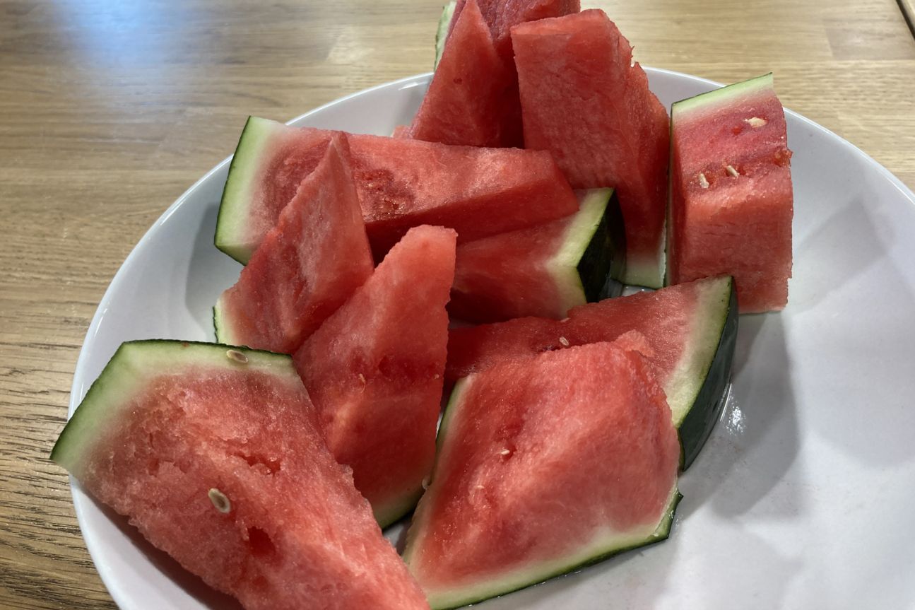 Iphone Se Melone iPhone SE 2020 Foto