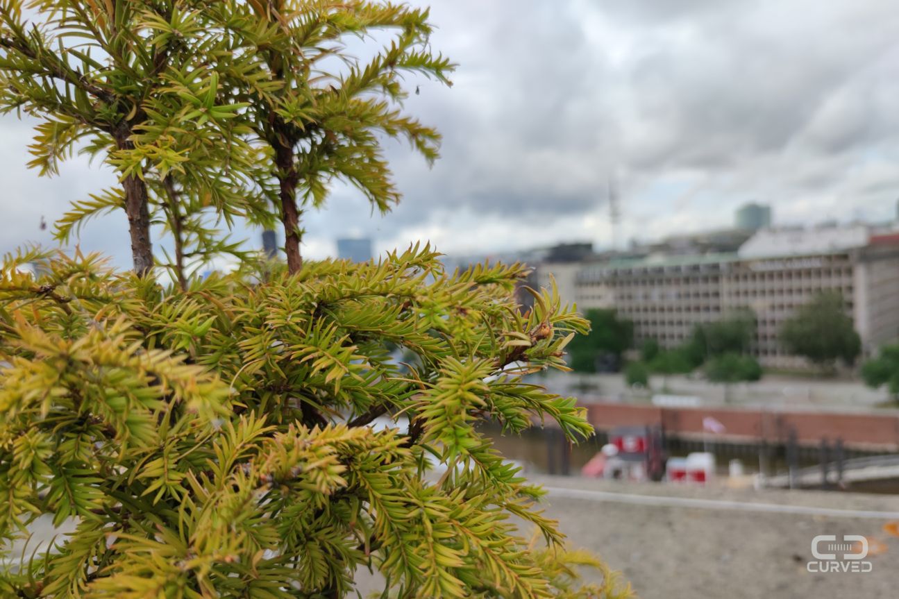 Mi 10 Wide 3 Xiaomi MI 10 Foto