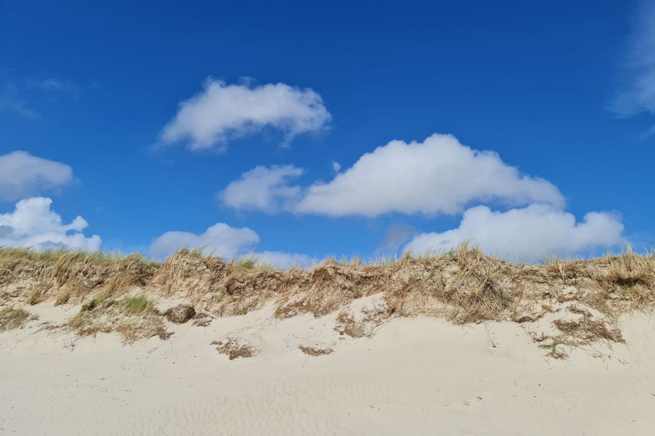 Note 20 Ultra Duene Galaxy Note 20 Ultra Test Fotos