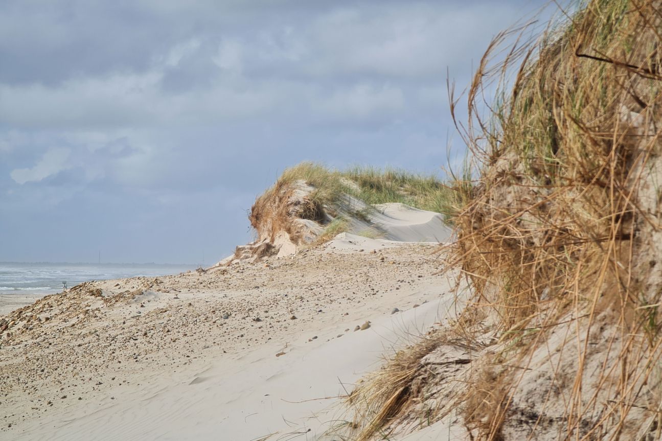 Note 20 Ultra Duene2 Galaxy Note 20 Ultra Test Fotos