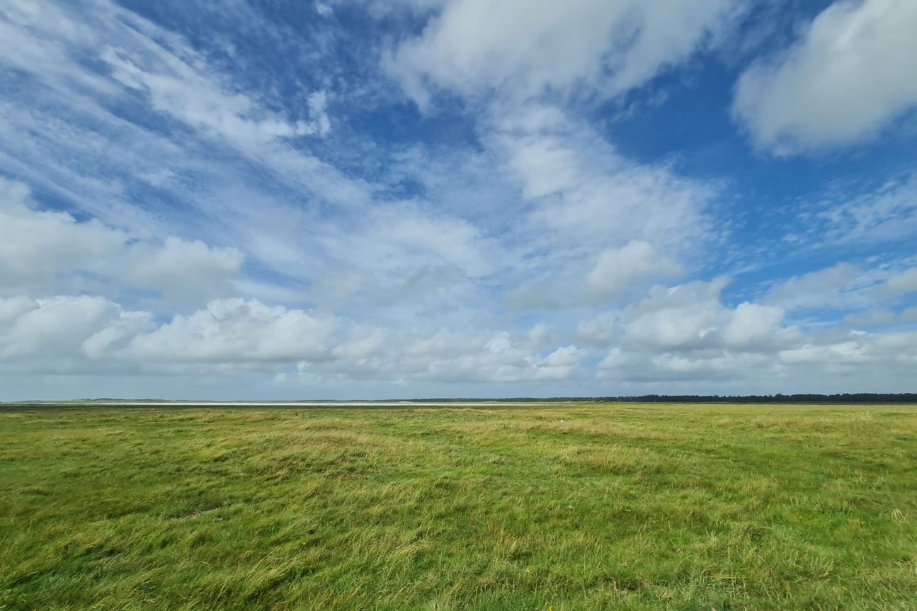 Note 20 Ultra Panorama Galaxy Note 20 Ultra Test Fotos