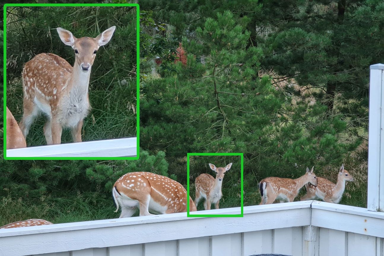 Note 20 Ultra Reh 2 Galaxy Note 20 Ultra Test Fotos