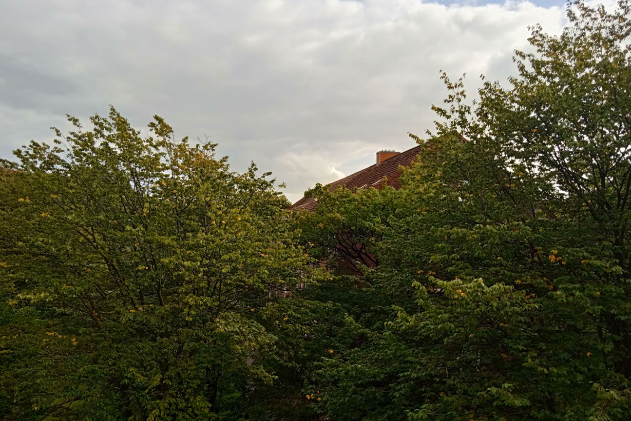 Redmi 9a Weitwinkel Xiaomi Redmi 9A Foto