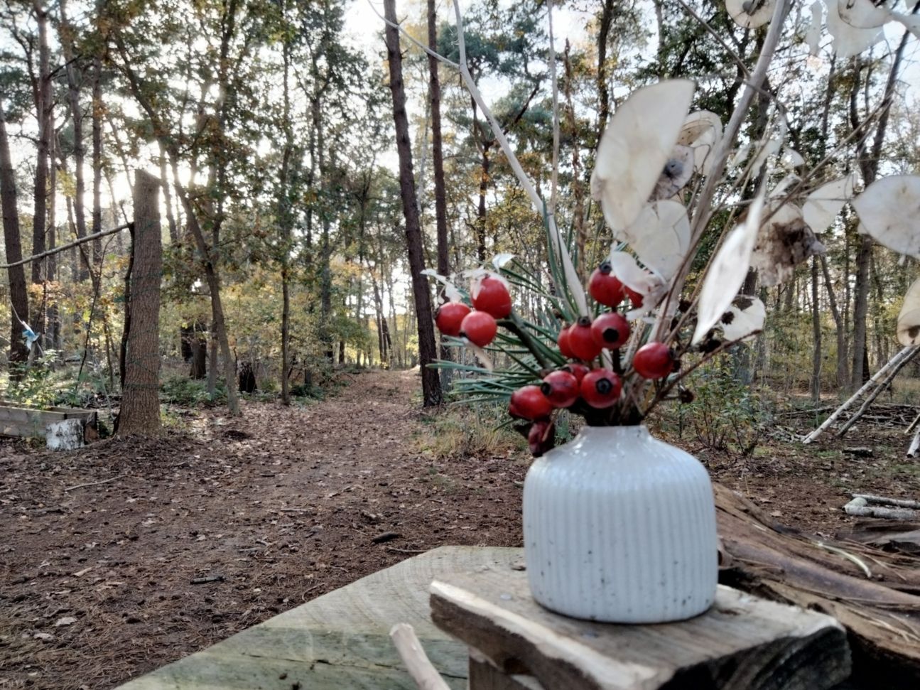 Vase mit Beeren und Zweigen. Abgelichtet mit Oppo-A53s-Kamera