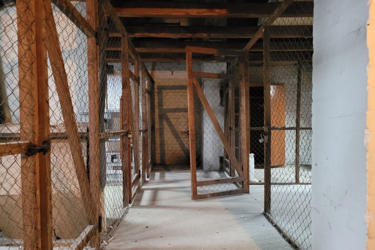 Galaxy S20 Fe Lowlight Samsung Galaxy S20 Fan Edition Fotos