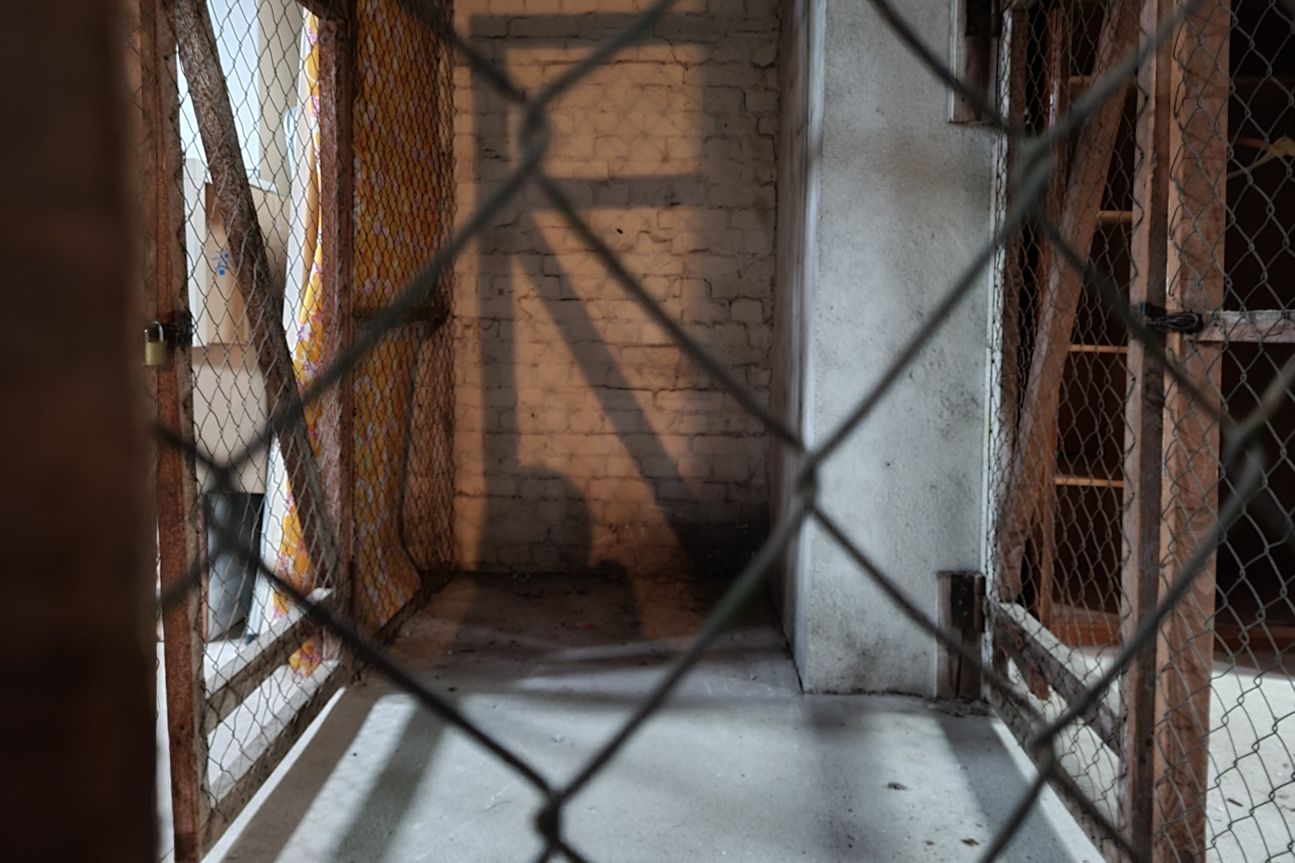 Galaxy S20 Fe Lowlight2 Samsung Galaxy S20 Fan Edition Fotos