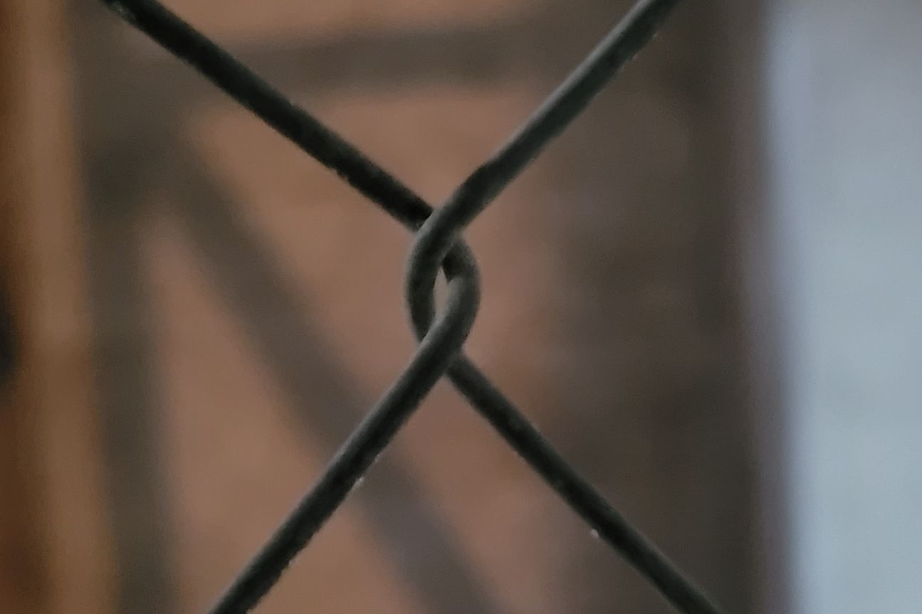 Galaxy S20 Fe Makro Samsung Galaxy S20 Fan Edition Fotos