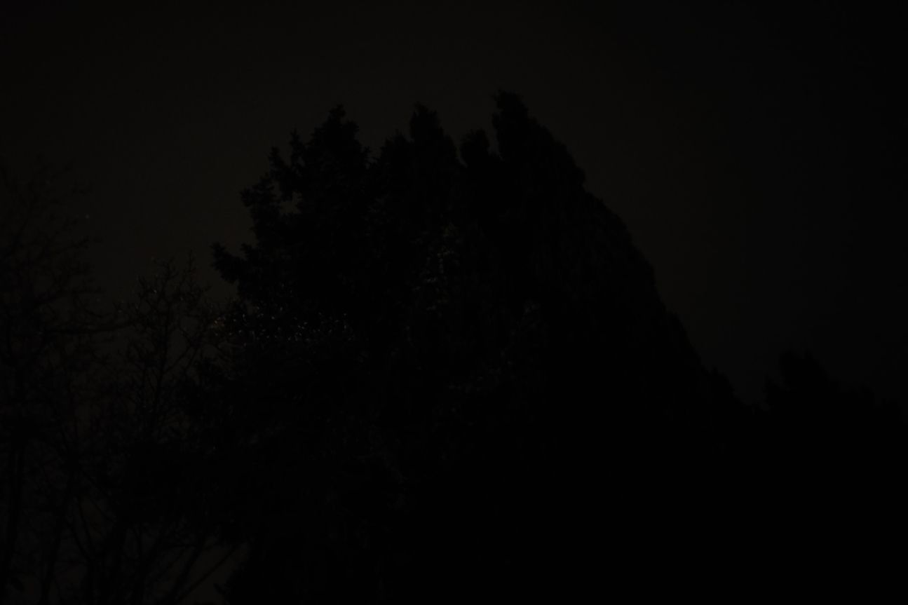 Galaxy S20 Fe Nachtmodus Aus Samsung Galaxy S20 Fan Edition Fotos