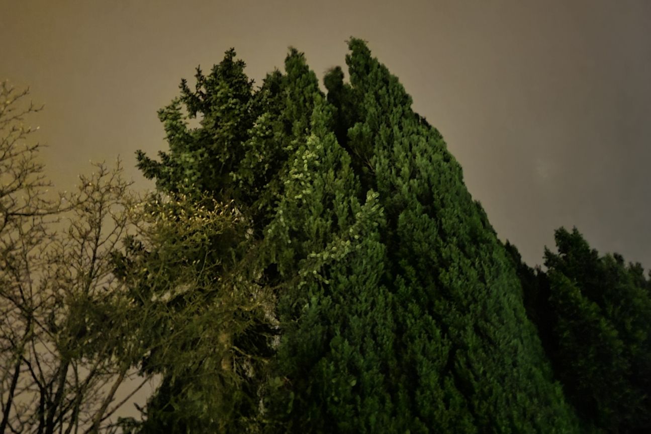 Galaxy S20 Fe Nachtmodus Ein Samsung Galaxy S20 Fan Edition Fotos