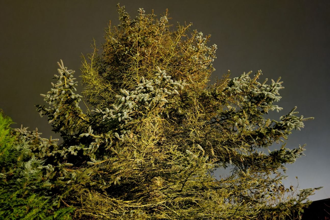 Galaxy S20 Fe Nachtmodus Samsung Galaxy S20 Fan Edition Fotos