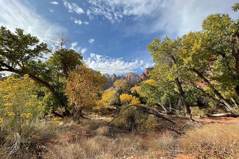 Ultraweitwinkel (13 mm) des iPhone 12 Pro Max Ultraweitwinkel (13 mm) des iPhone 12 Pro Max