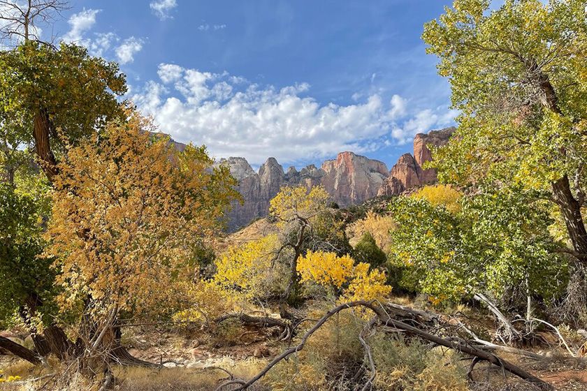 Weitwinkel (26 mm) des iPhone 12 Pro Max Weitwinkel (26 mm) des iPhone 12 Pro Max