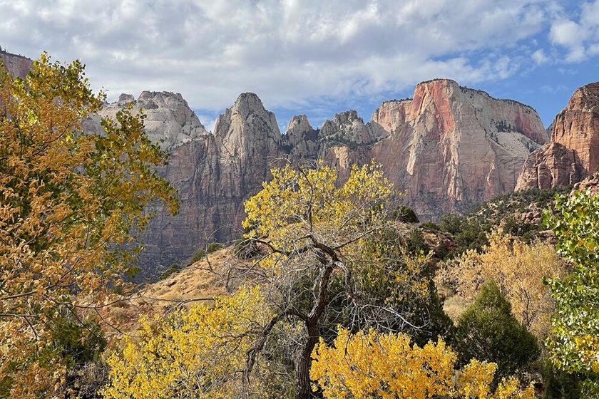 Tele (65 mm) des iPhone 12 Pro Max Tele (65 mm) des iPhone 12 Pro Max