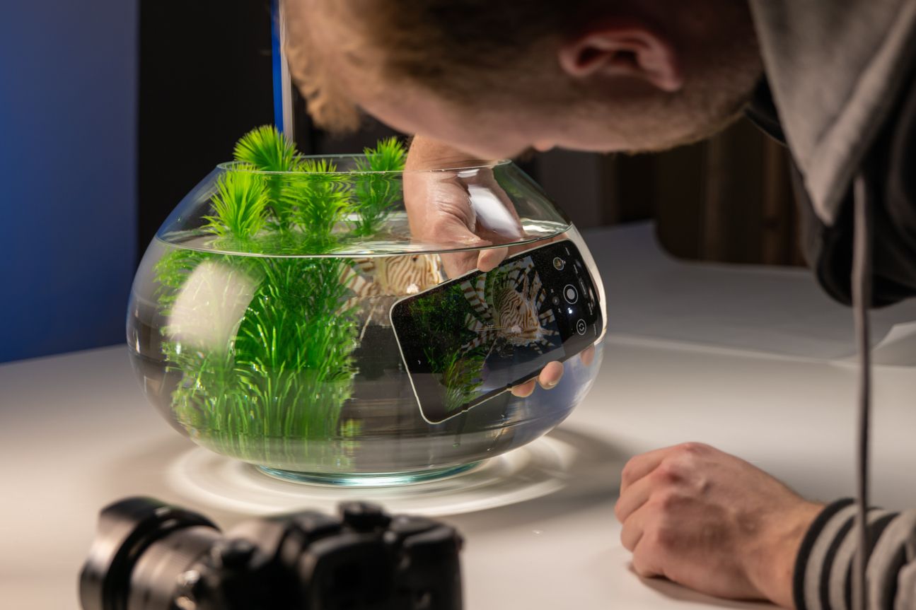 Makingof Fish2 Making of Google vs Profi-Kamera