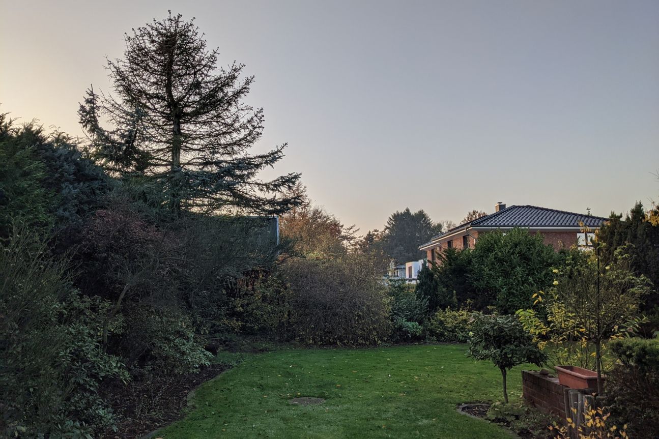 Pixel 5 Abend Google Pixel 5 Foto