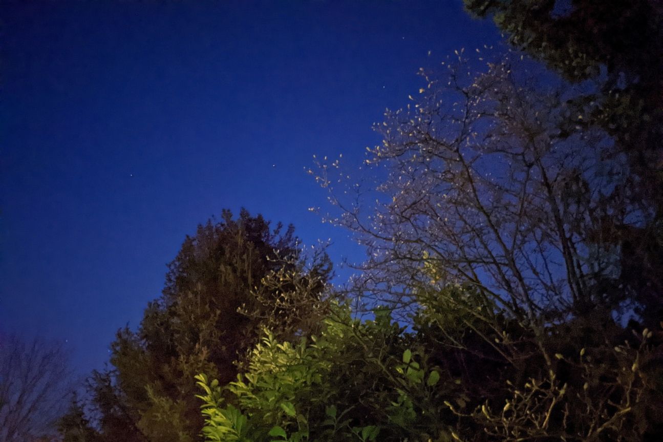 Pixel 5 Nacht3 Google Pixel 5 Foto